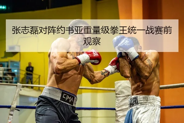 张志磊对阵约书亚重量级拳王统一战赛前观察