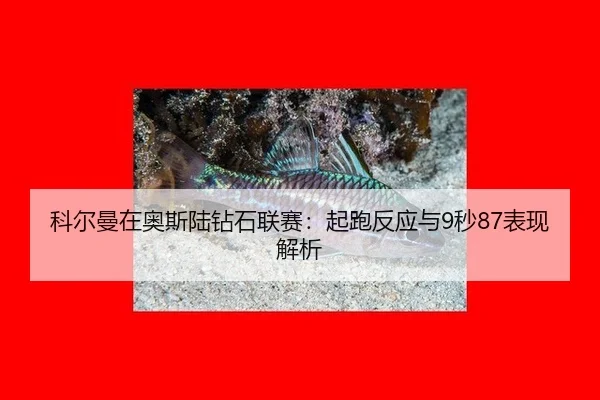 ke-er-man-zai-ao-si-lu-zuan-shi-lian-sai-qi-pao-fan-ying-yu-miao-biao-xian-jie-xi-2-774.jpg