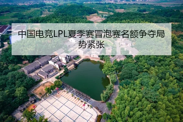 中国电竞LPL夏季赛冒泡赛名额争夺局势紧张